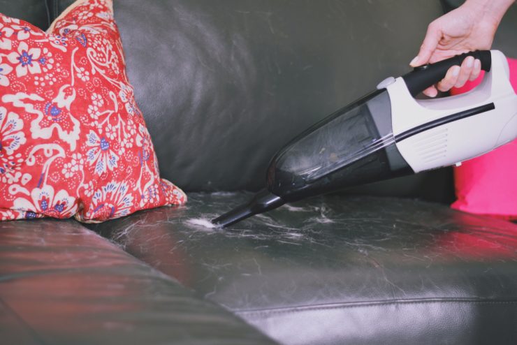 pet vacuum cleaner sale